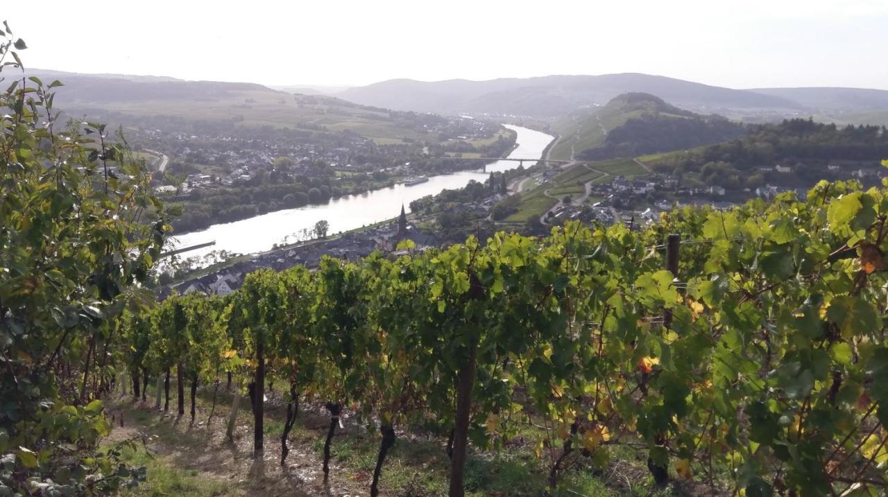 Fewo Sonnenlay - Apartments An Der Mosel 布劳讷贝格 外观 照片