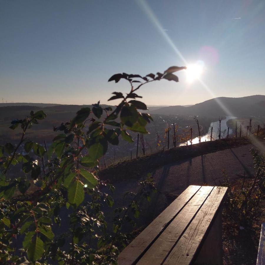 Fewo Sonnenlay - Apartments An Der Mosel 布劳讷贝格 外观 照片