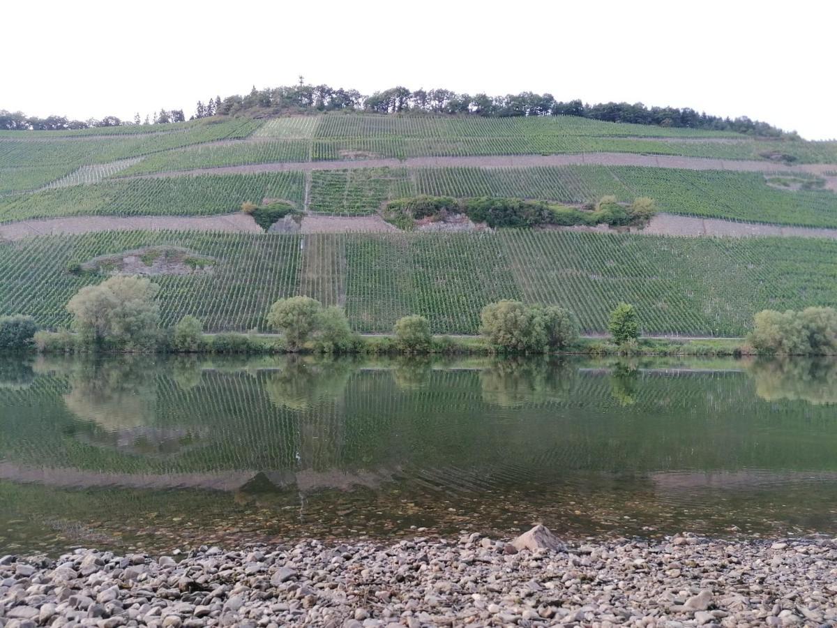 Fewo Sonnenlay - Apartments An Der Mosel 布劳讷贝格 外观 照片