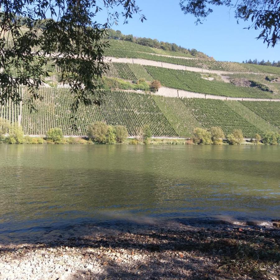 Fewo Sonnenlay - Apartments An Der Mosel 布劳讷贝格 外观 照片